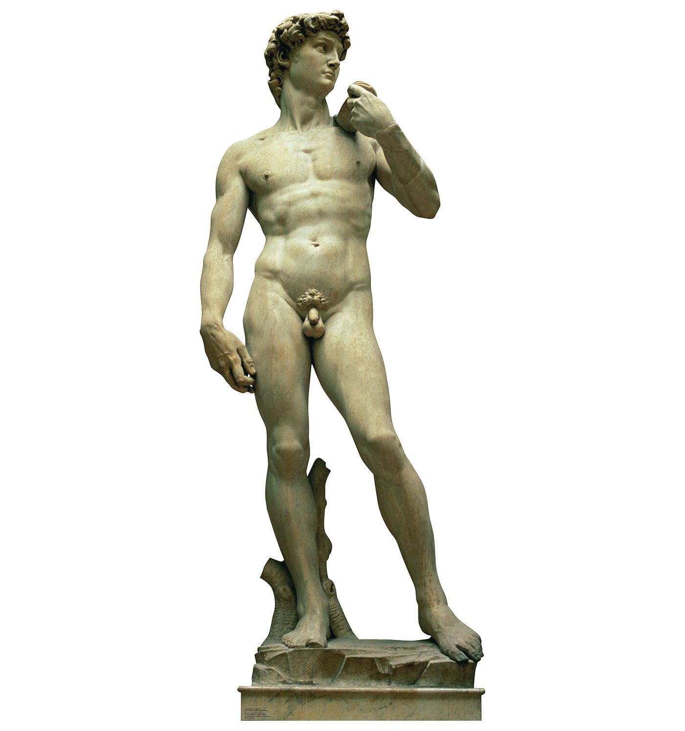 MICHELANGELO'S STATUE OF DAVID ITALY 