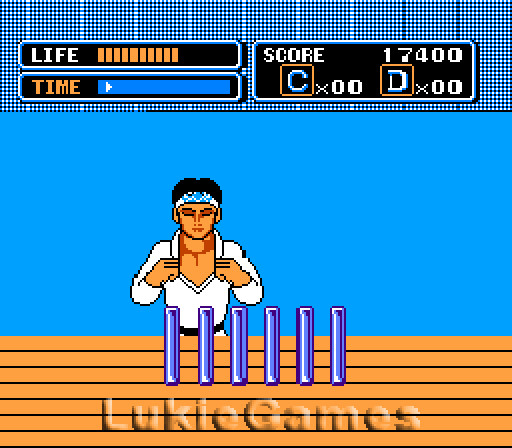 The Karate Kid - NES Nintendo Game