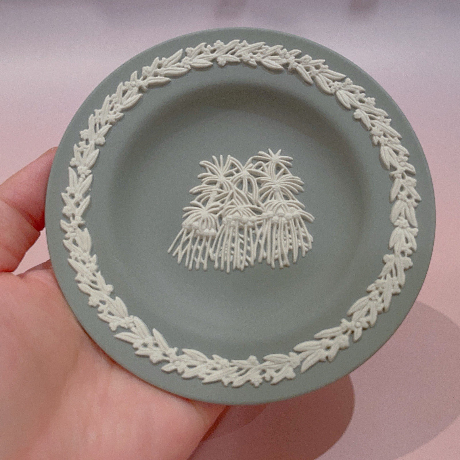 Wedgwood Jasperware Australian Wildflower White On Grey Darwinia Small Plate