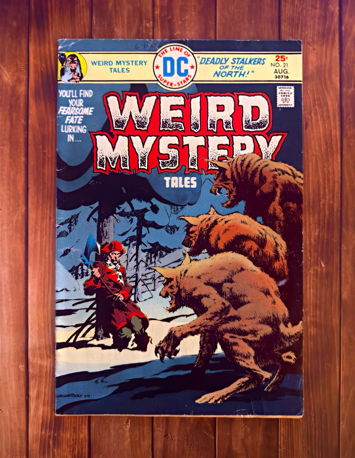  Weird Mystery Tales #21 (Aug 1974)  DC Bronze Age Horror - Bernie Wrightson 