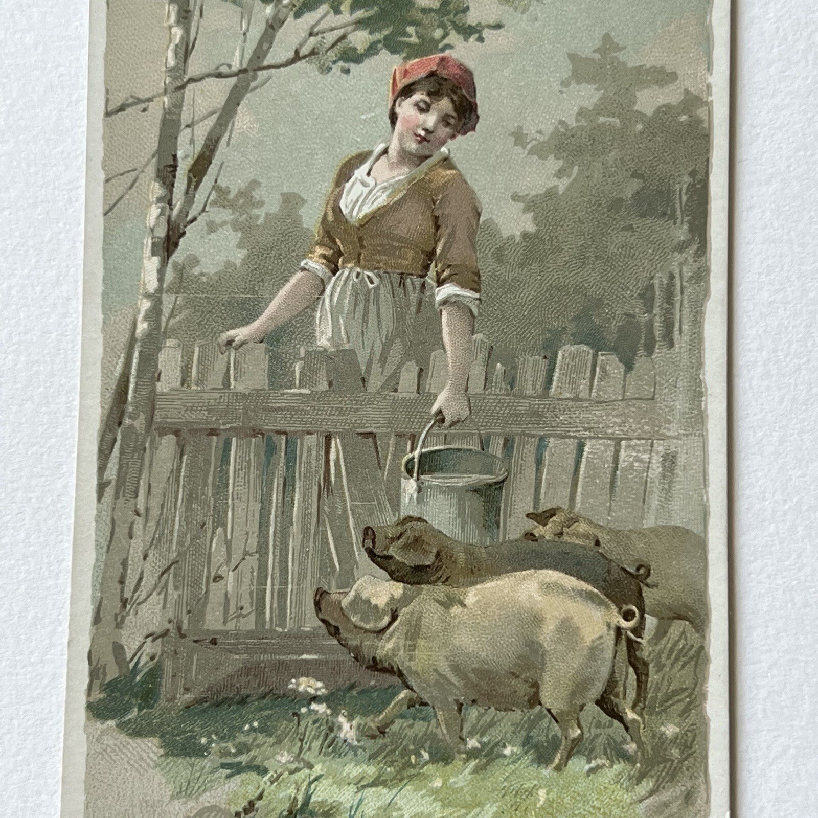Antique Victorian Trading Card Advertisement Woman Feeding Pig Arbuckle’s Coffee