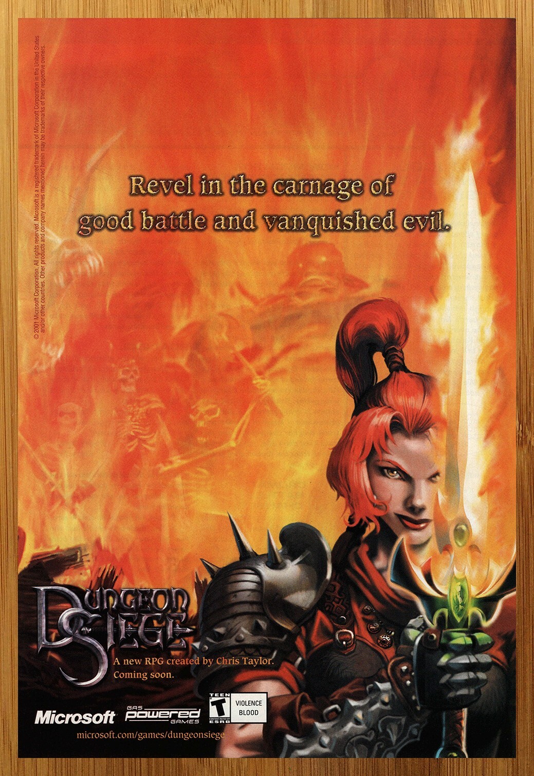 2001 Dungeon Siege PC Vintage Print Ad/Poster Fantasy RPG Game Promo Art 00s