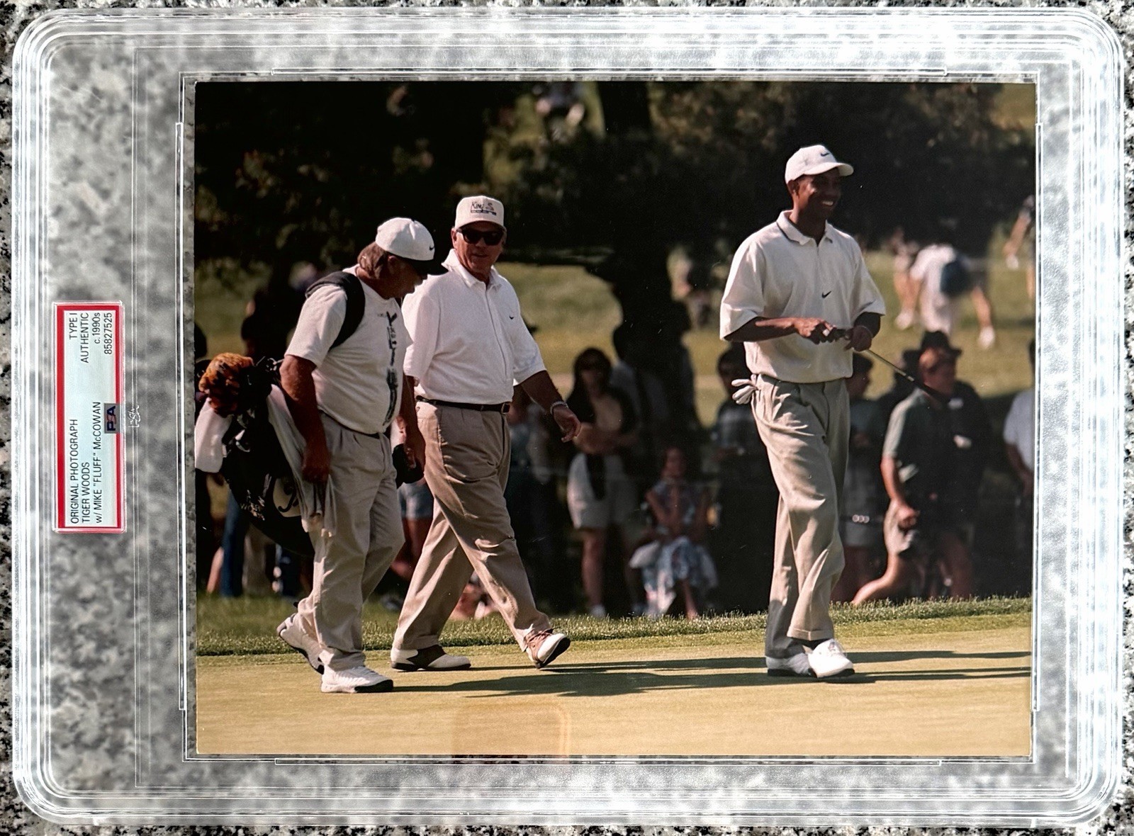 1990’s Tiger Woods 