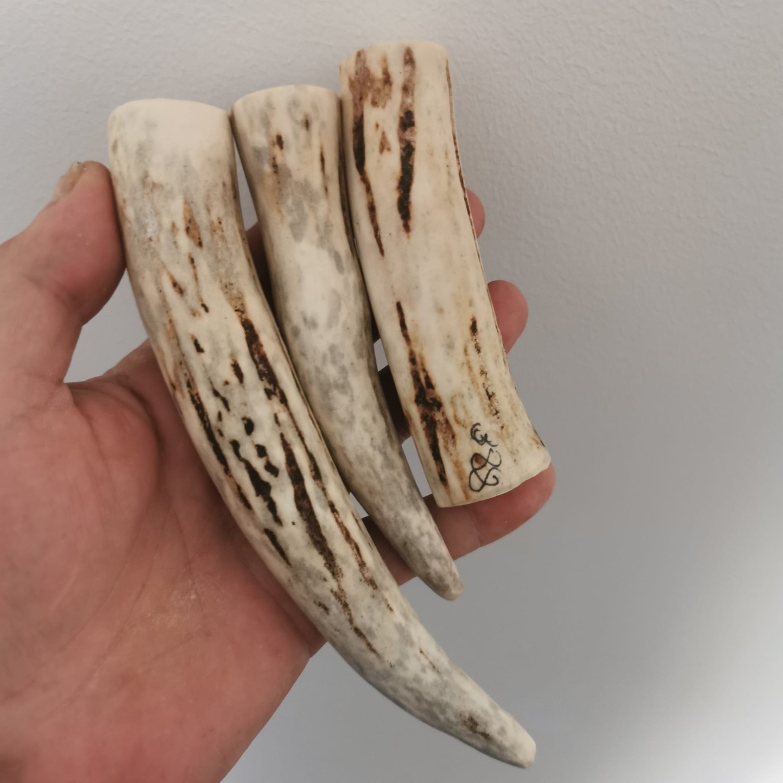 388.ELK HORN KNIFE HANDLE MATERIAL (NATURAL).