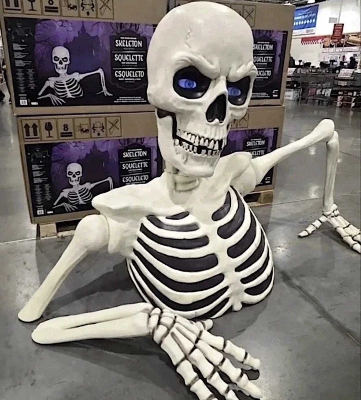 NEW GIANT SKELETON Costco 62” Groundbreaking Skeleton with LCD Eyes and Sound