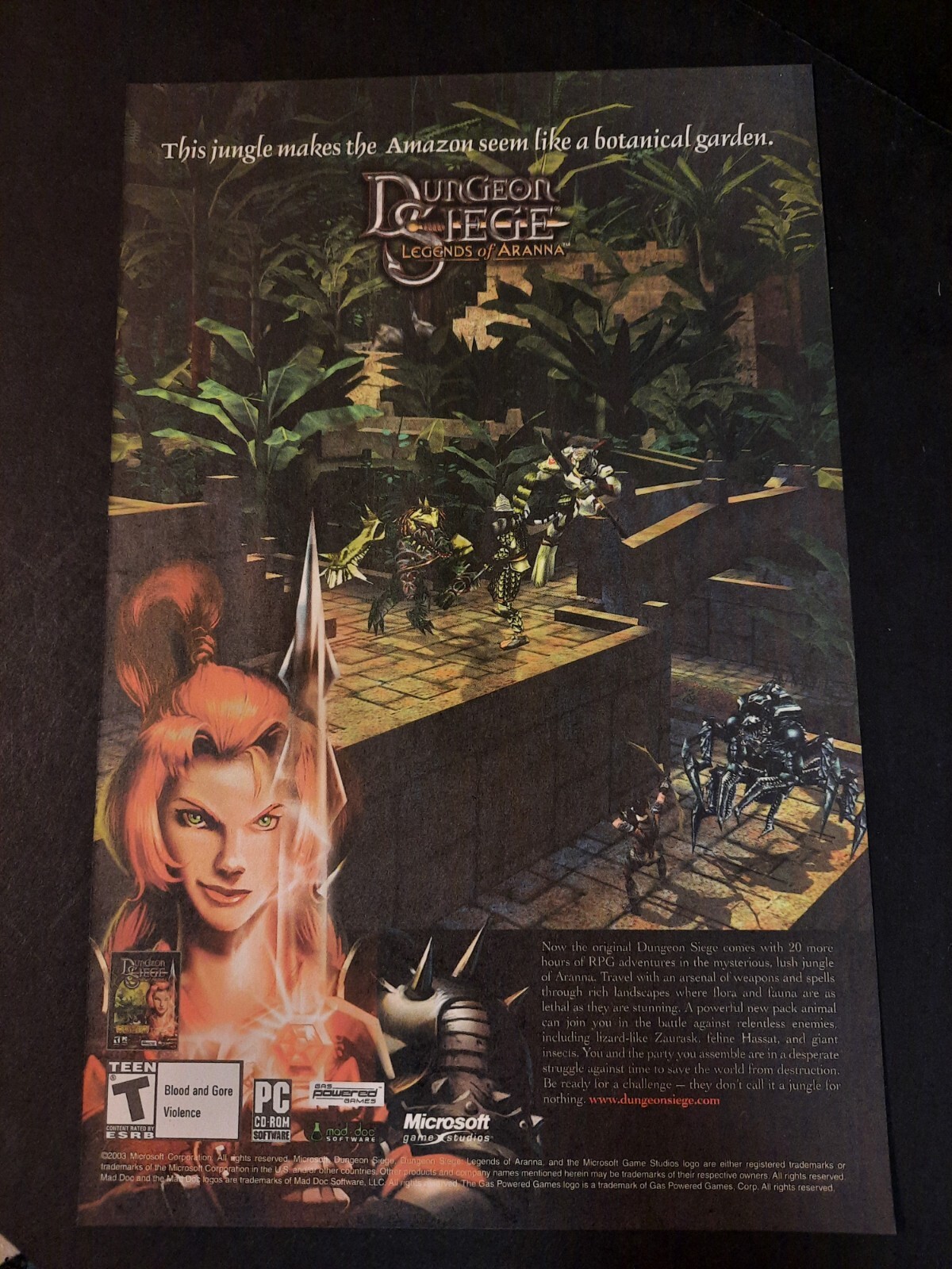 2003 DUNGEON SIEGE: Legends of Aranna PC Video Game Promo Art ~ Print Ad/Ad Page