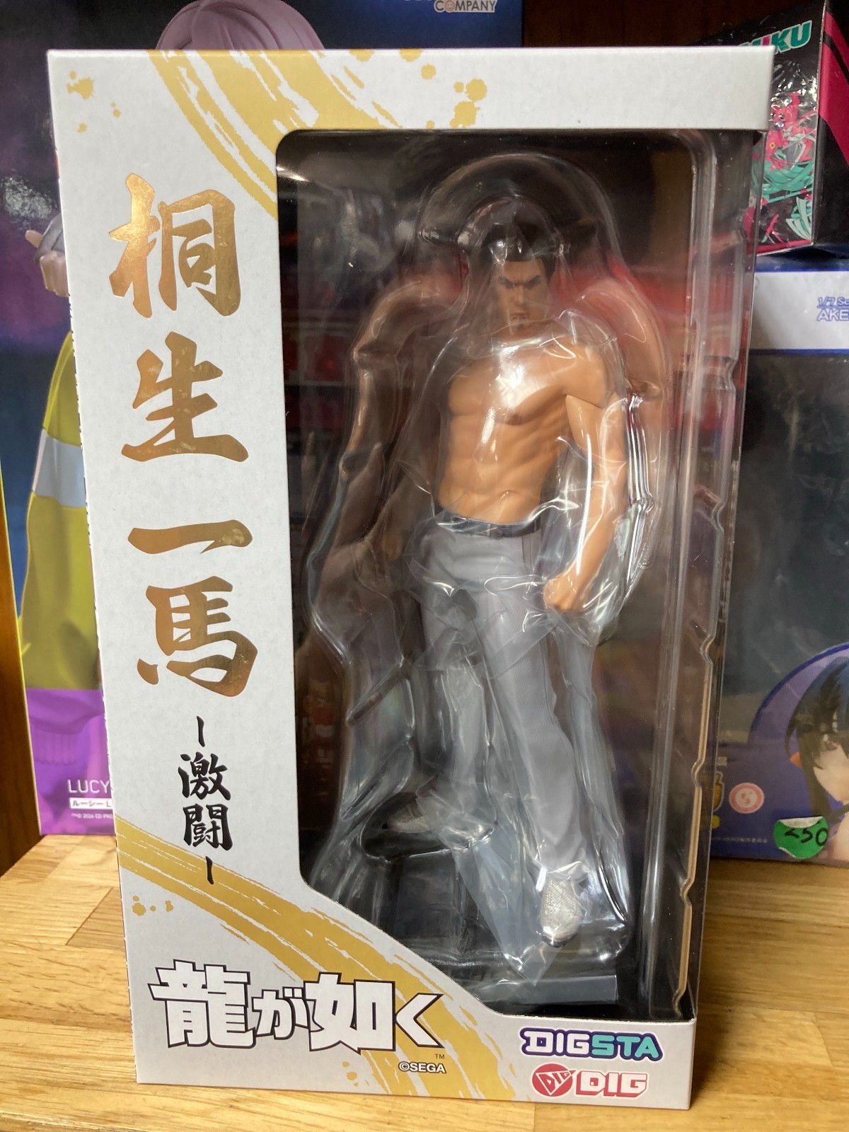 Yakuza DIGSTA \