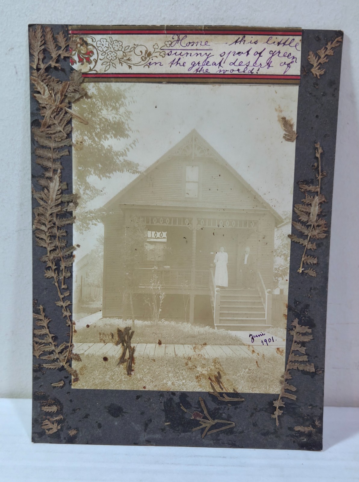 1901 Austin, Texas house history, old cabinet photo, ferns pasted on