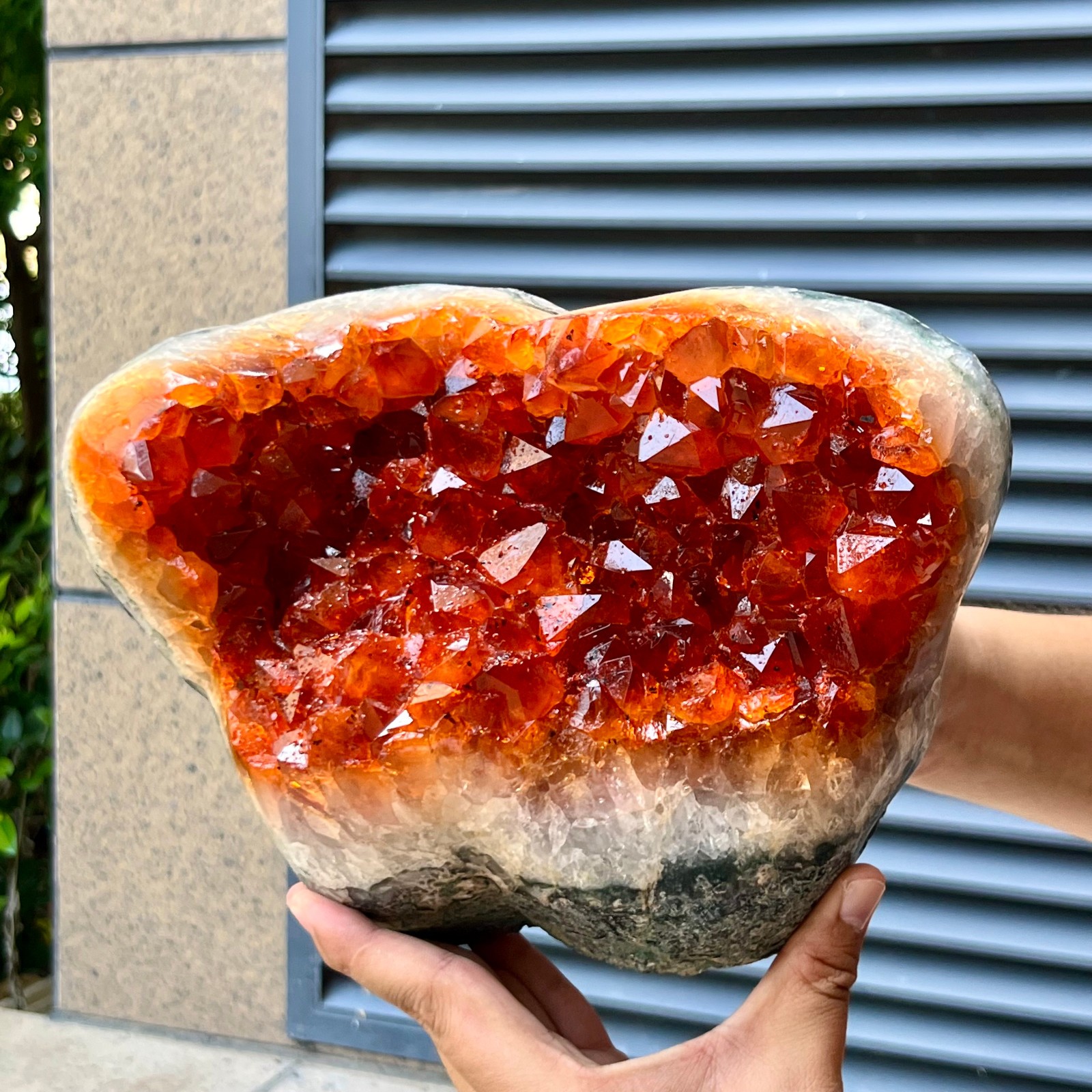 13 lb  Citrine Crystal Cluster Geode orange-yellow Mineral Specimen Collectible