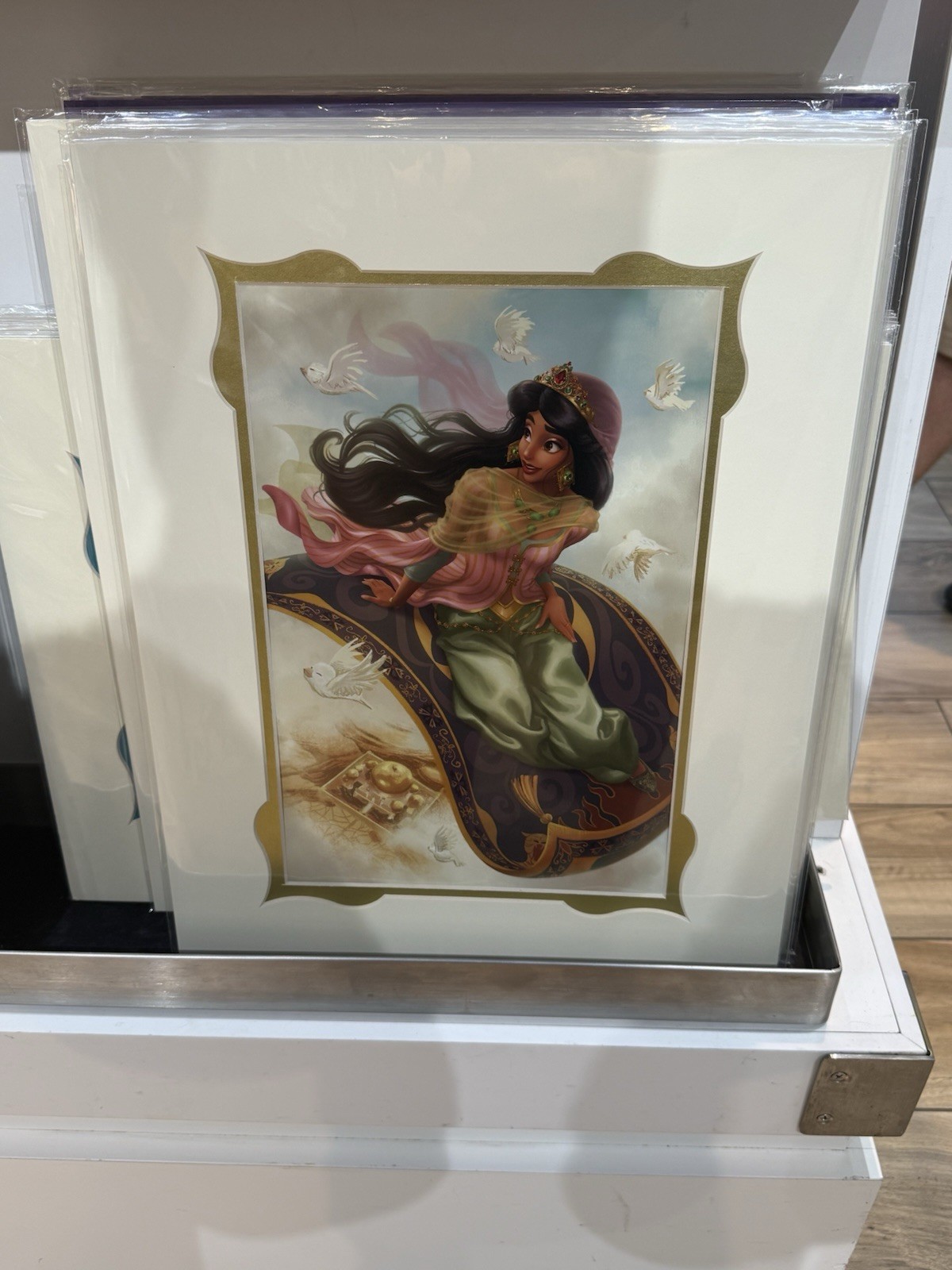 2026 Disney Parks Dylan Bonner Jasmine Aladdin Beyond Palace Walls Print 14x18”