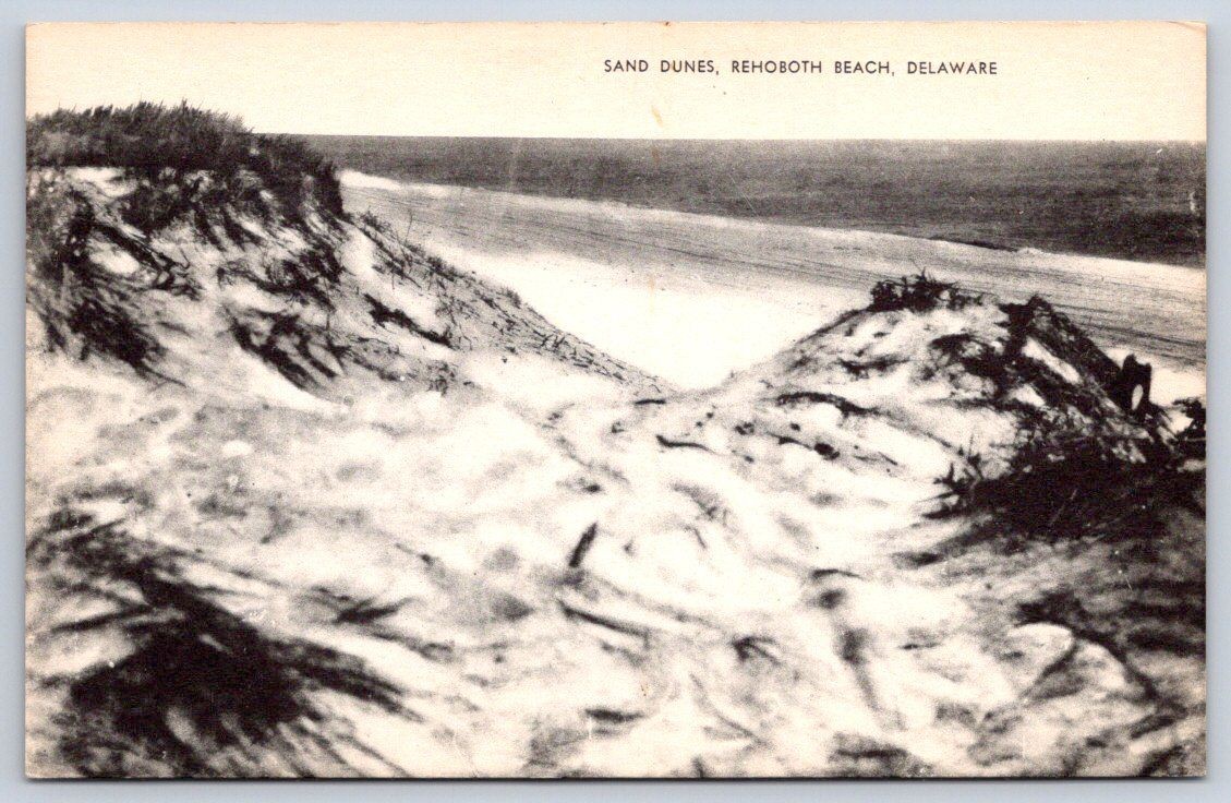 Vintage Delaware Postcard REHOBOTH BEACH Sand Dunes 1940s
