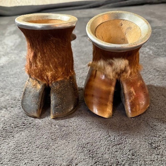 Vintage Taxidermy Hoof Yerba Mate Gourd Cups Pair Rustic South American Folk Art