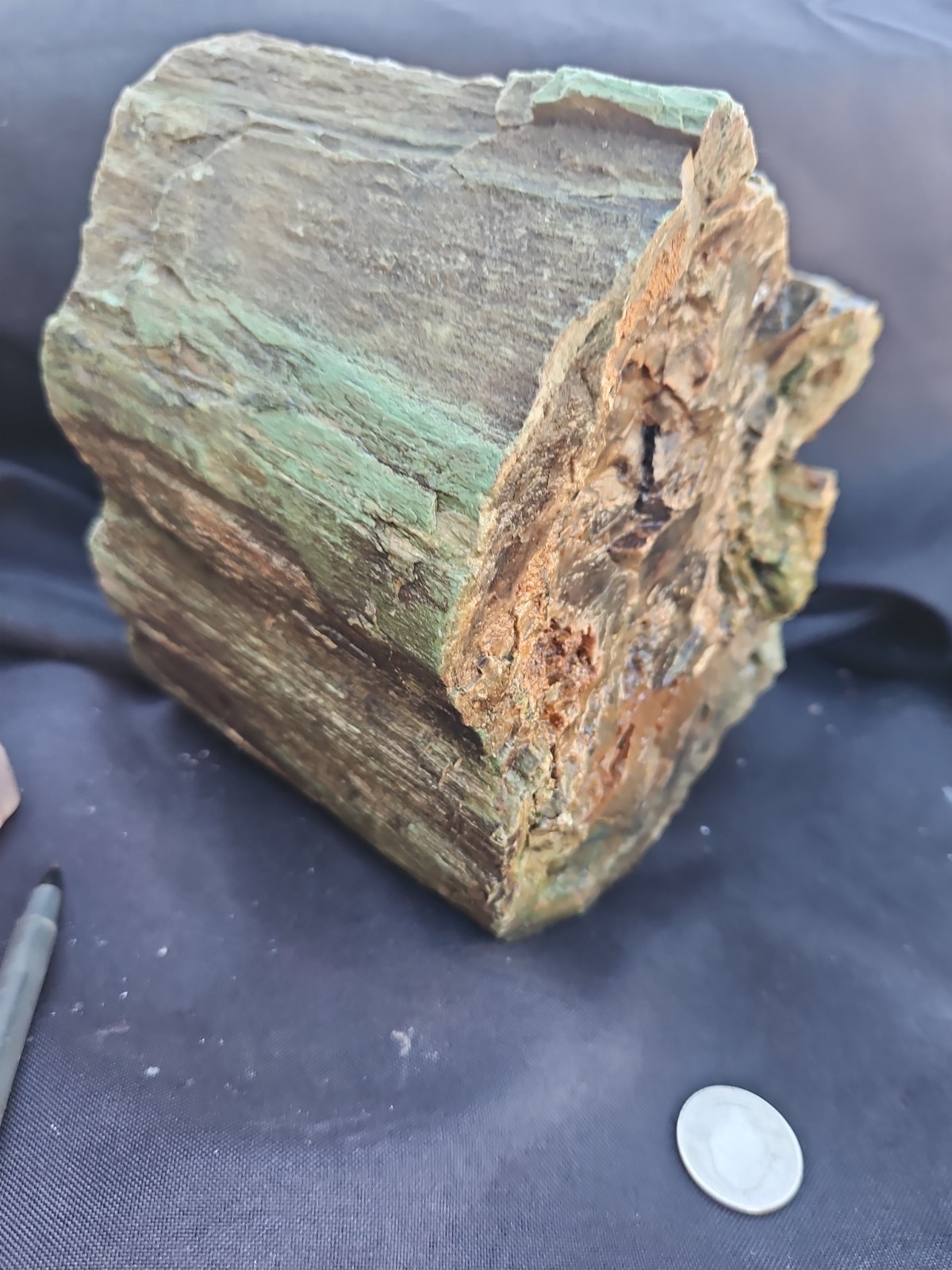 Zimbabwe Wood log natural form (8 lbs 12 oz)