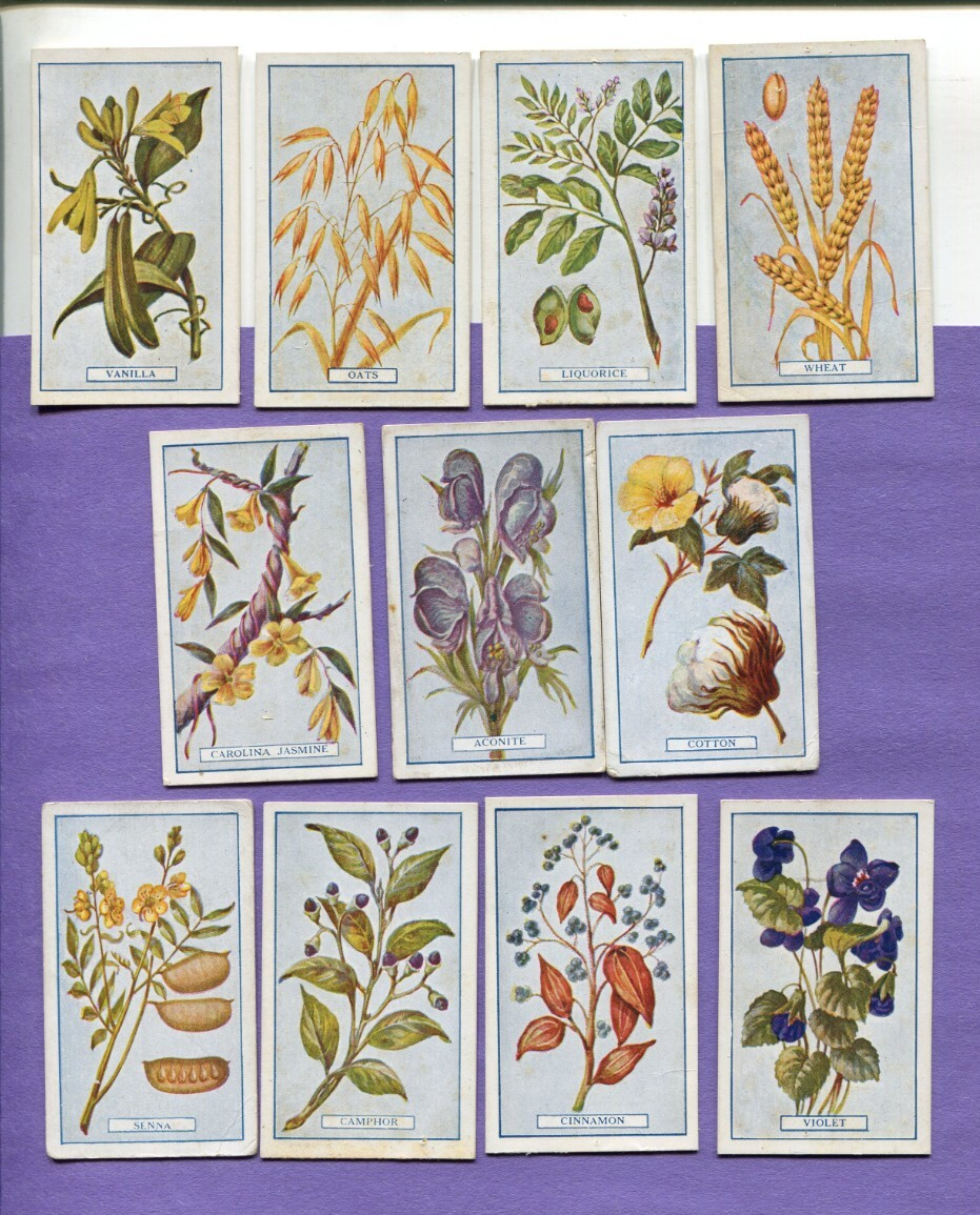1917 GALLAHER LTD PLANTS OF COMMERCIAL VALUE 11 DIFFERENT TOBACCO CARD LOT