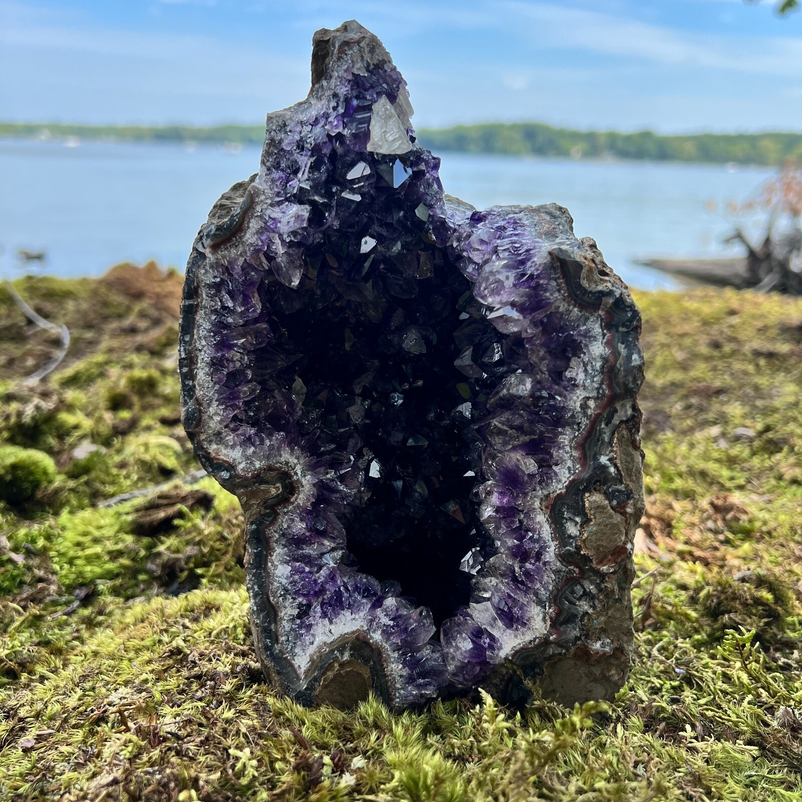 HUGE XXXL LARGE Amethyst Druze Crystal Cluster w/ Cut Base Specimen ~ 3.5-5.5 Lb