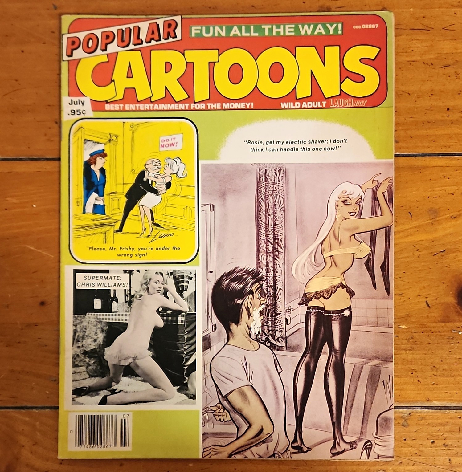 POPULAR CARTOONS July 1979 BILL WARD Pin-up Cover Art PUSSYCAT Jim Mooney