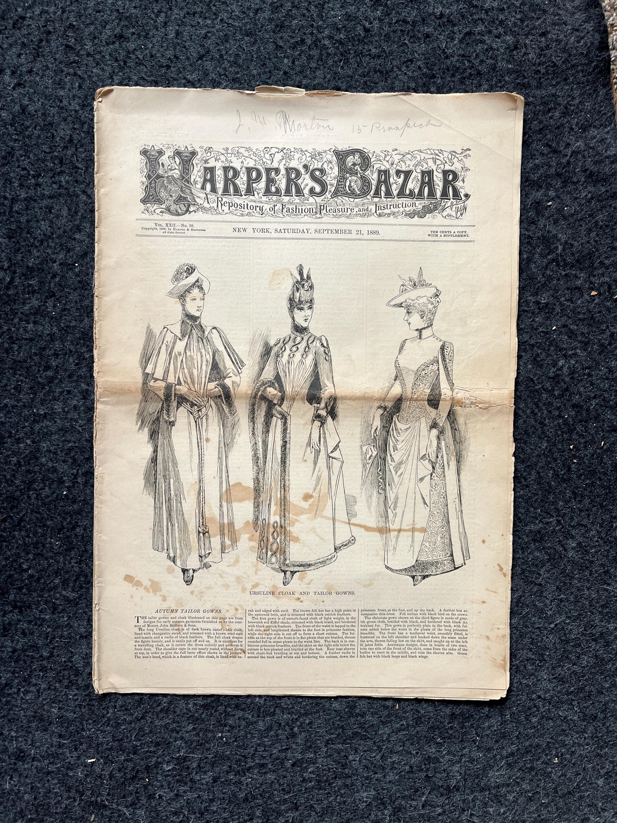 1890s Victorian Era Women's Fashion Choices, Petticoats and Corsets, Original V