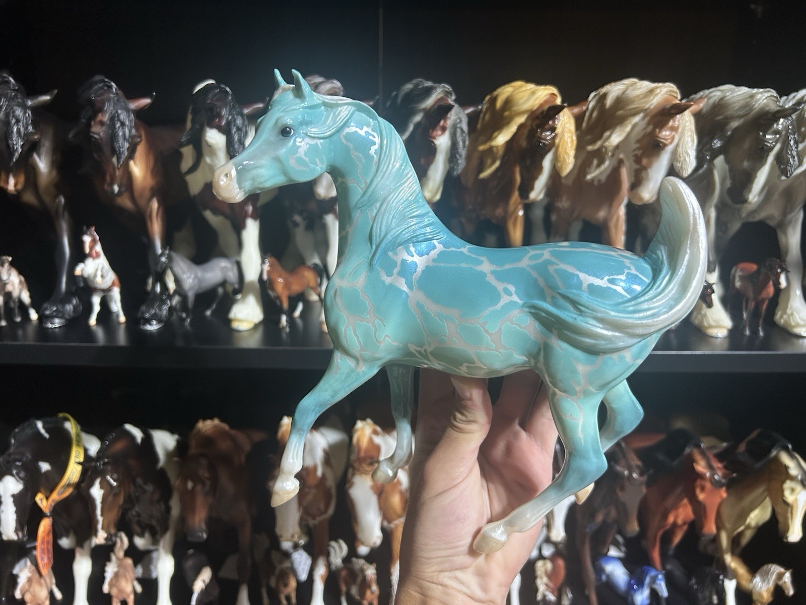 Breyer Belize Glossy 2026 Exotic Destinations Collector Club Web Special Sham 
