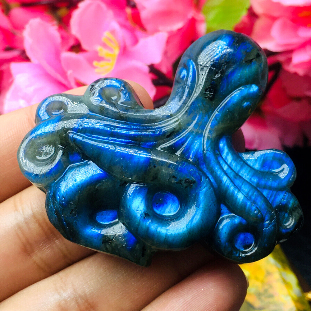 Natural Labradorite Hand Carved Octopus Quartz Crystal Reiki Healing Gift 1PCS