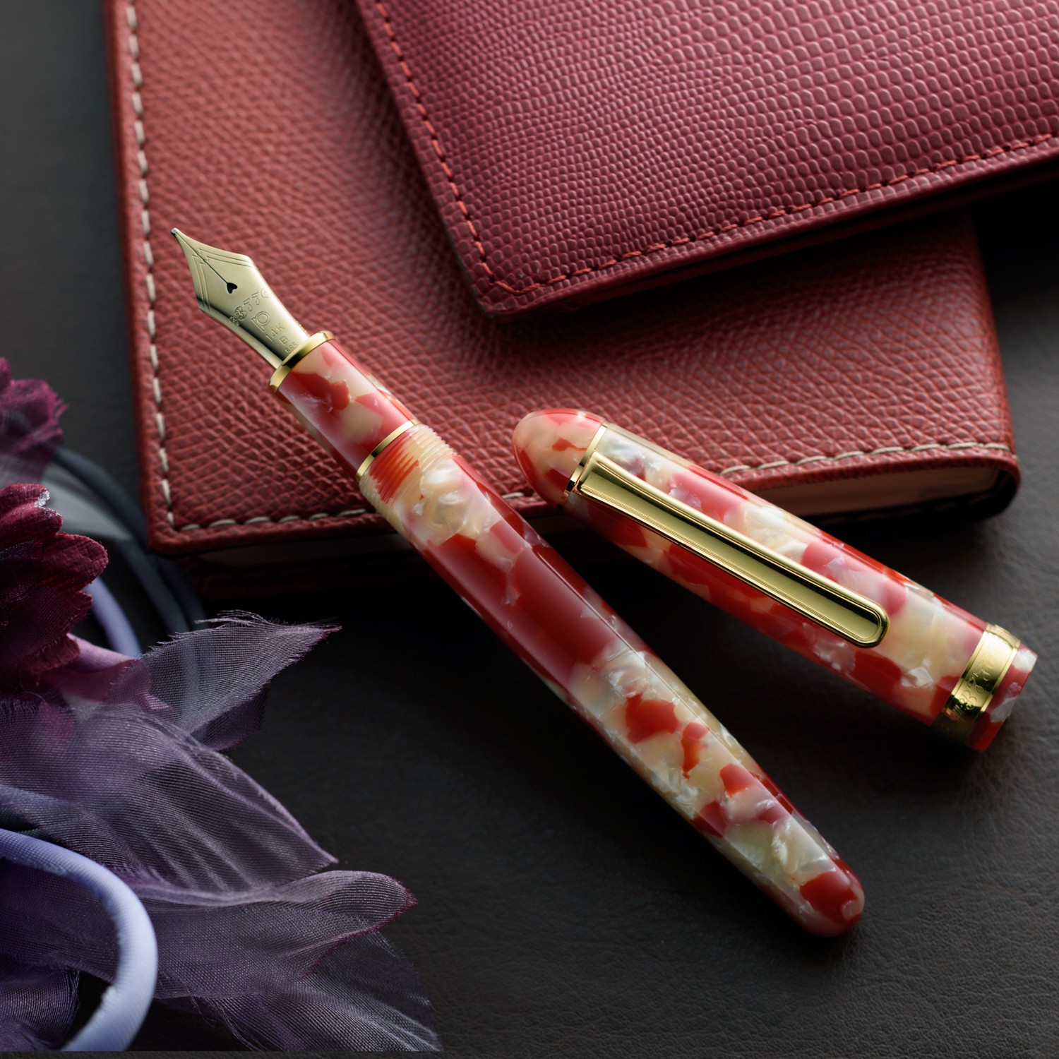 Platinum #3776 CENTURY Celluloid Fountain Pen Goldfish Fine Nib PTB-35000S#24-2
