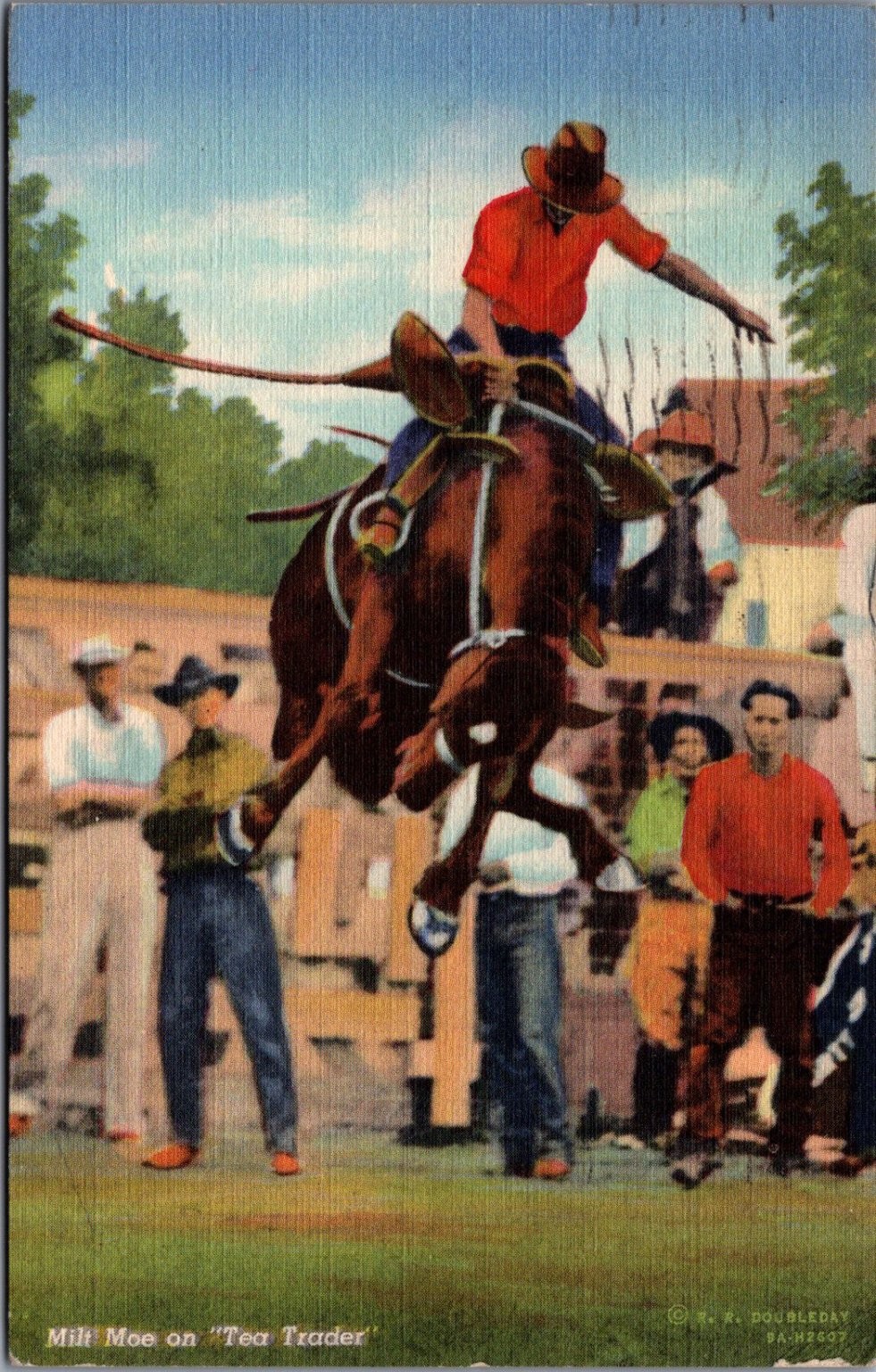 Milt Moe \'Tea Trader\' Bucking Bronc Rodeo Postcard 1930 Grand Island NE