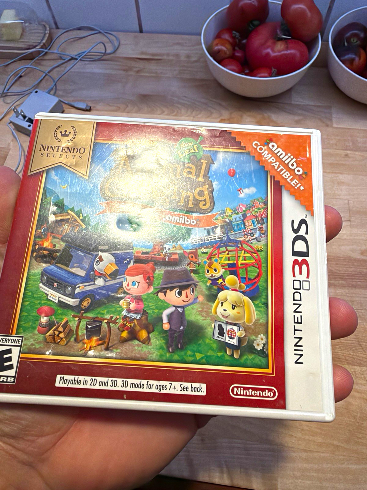 Nintendo Animal Crossing: New Leaf Welcome amiibo Nintendo 3DS Manual Included