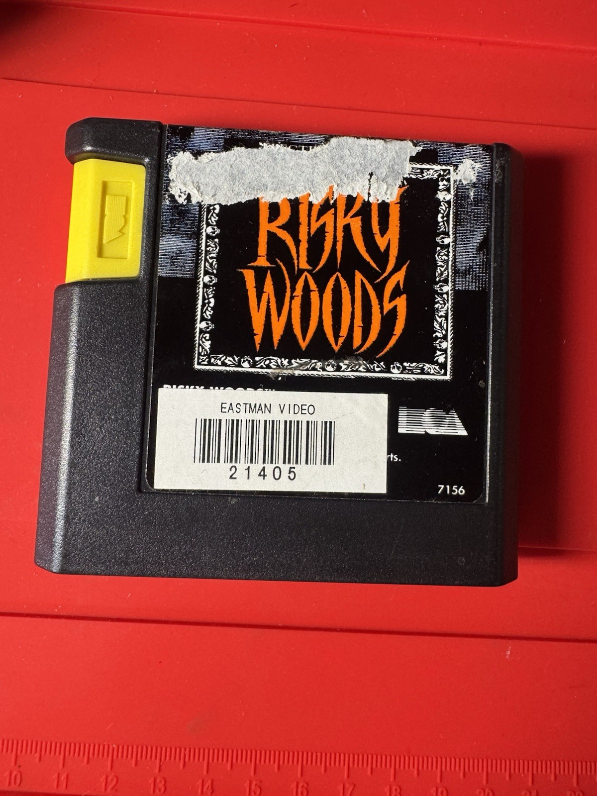 Risky Woods Sega Genesis Cartridge Only Electronic Arts Tested