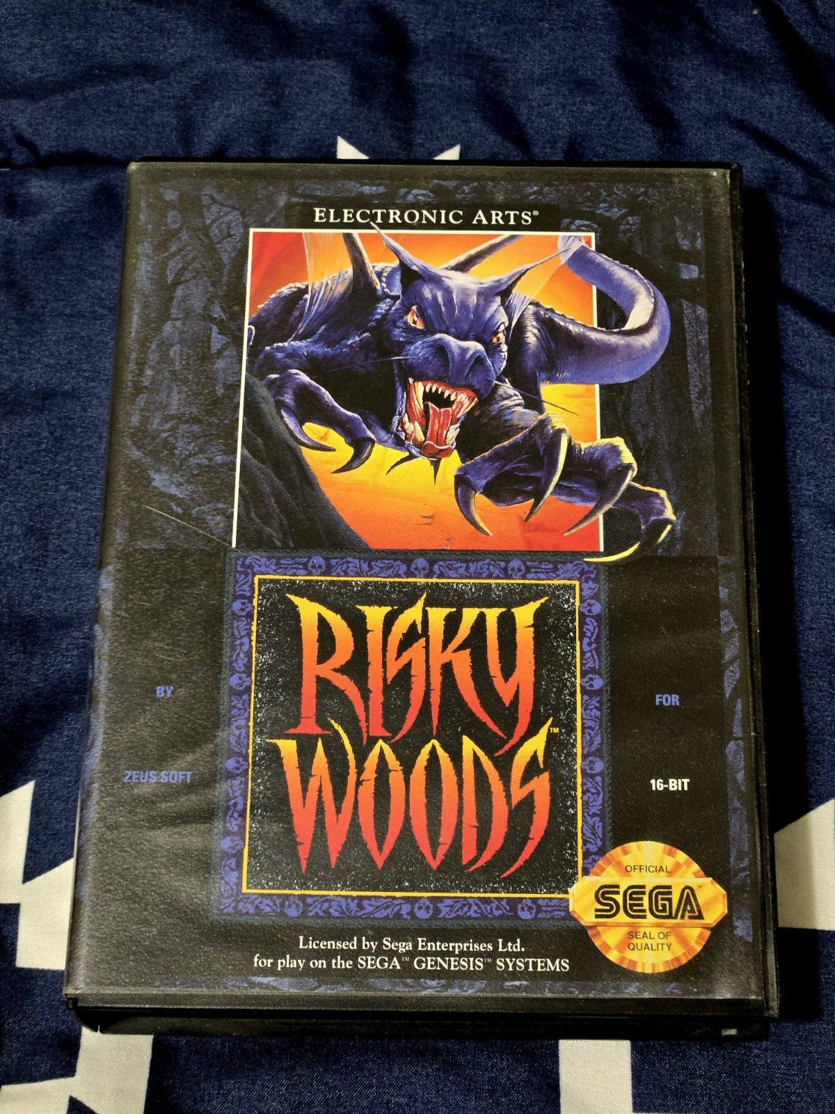 Risky Woods (Sega Genesis, 1992)