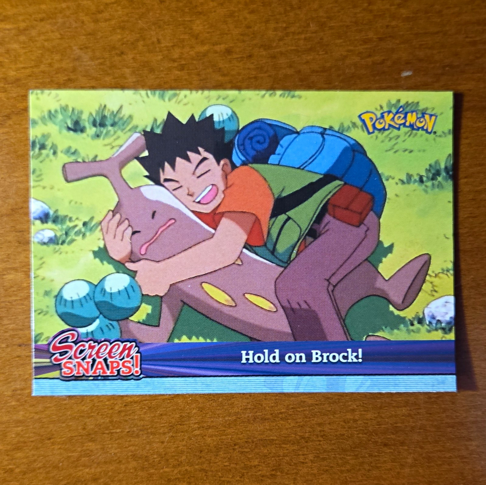 Topps Pokémon Screen Snaps SNAP 05 Hold on Brock Insert Card 2001 English