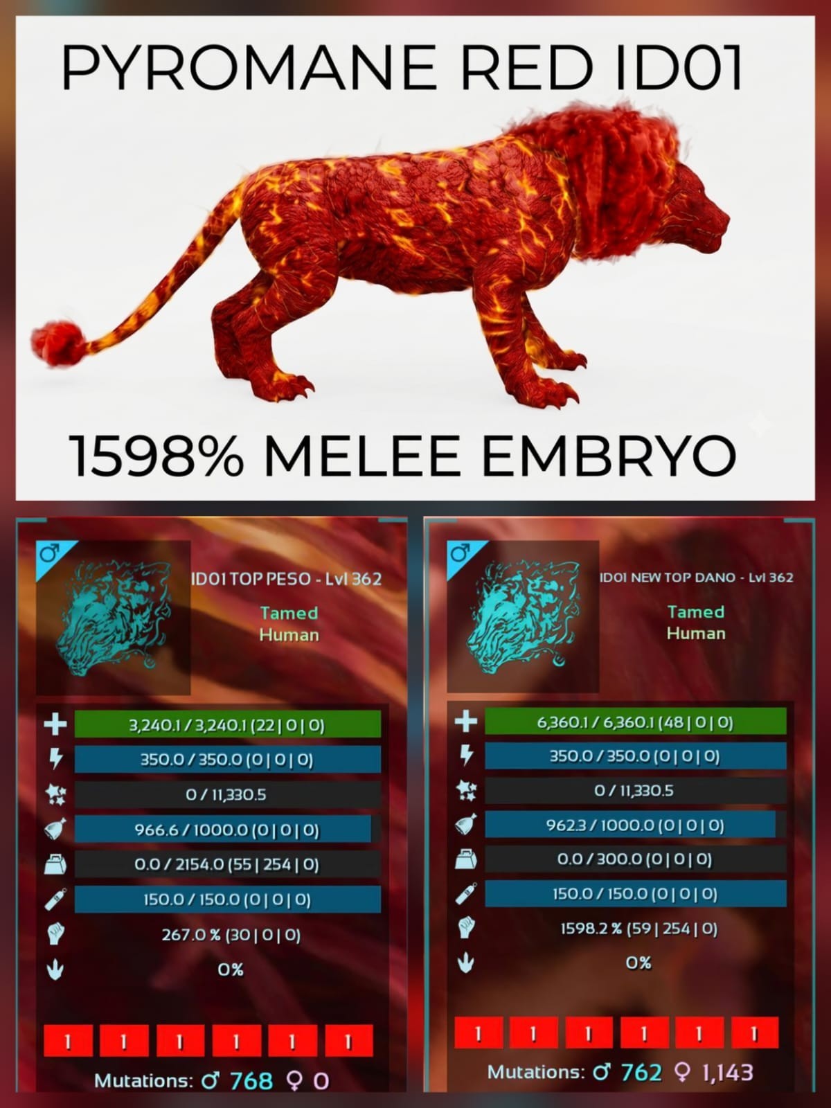 PYROMANE Top Stats EMBRYO PAIR  -  Ark Survival Ascended PVE Official Crossplay