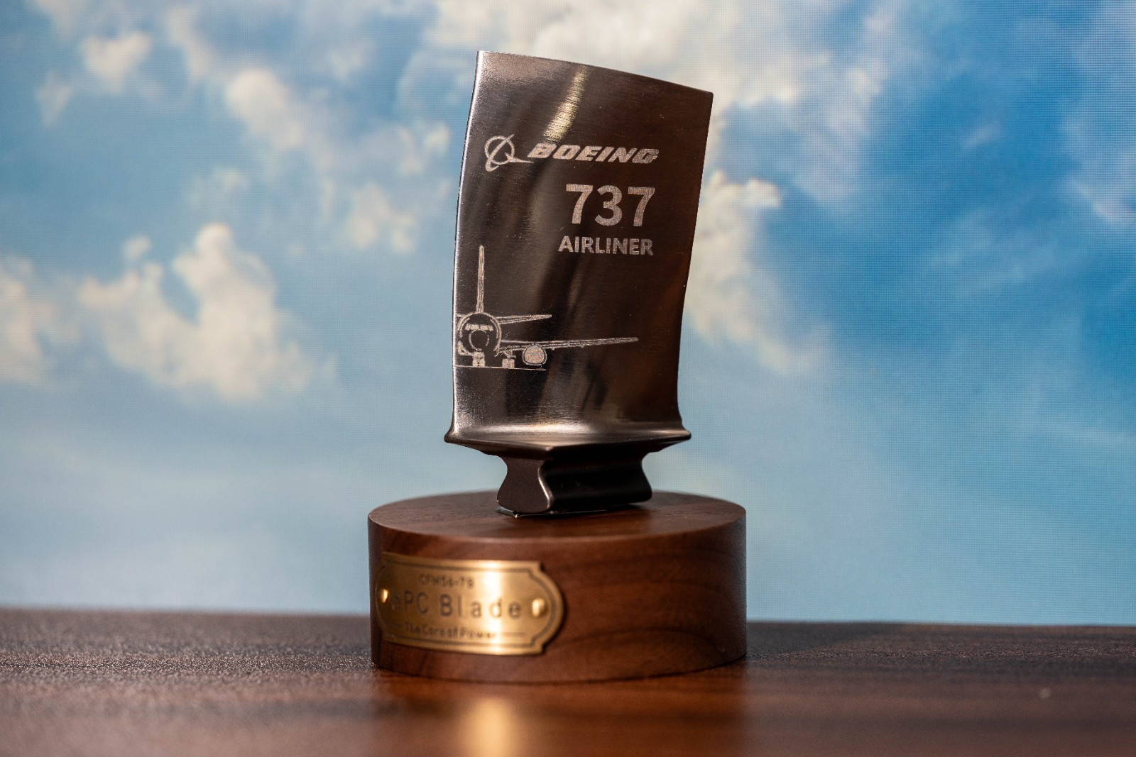 Boeing 737 Jet Engine Fan Art, Aviation Gift, Turbine Fan Display