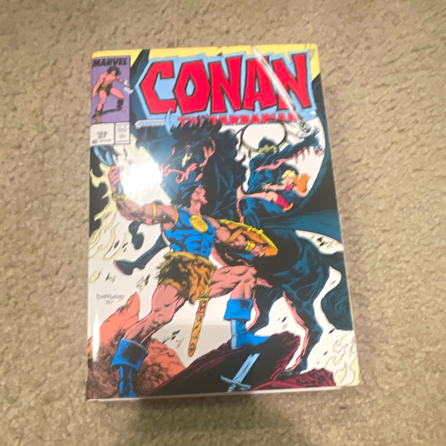 Marvel Comics Conan the Barbarian Omnibus Vol 8