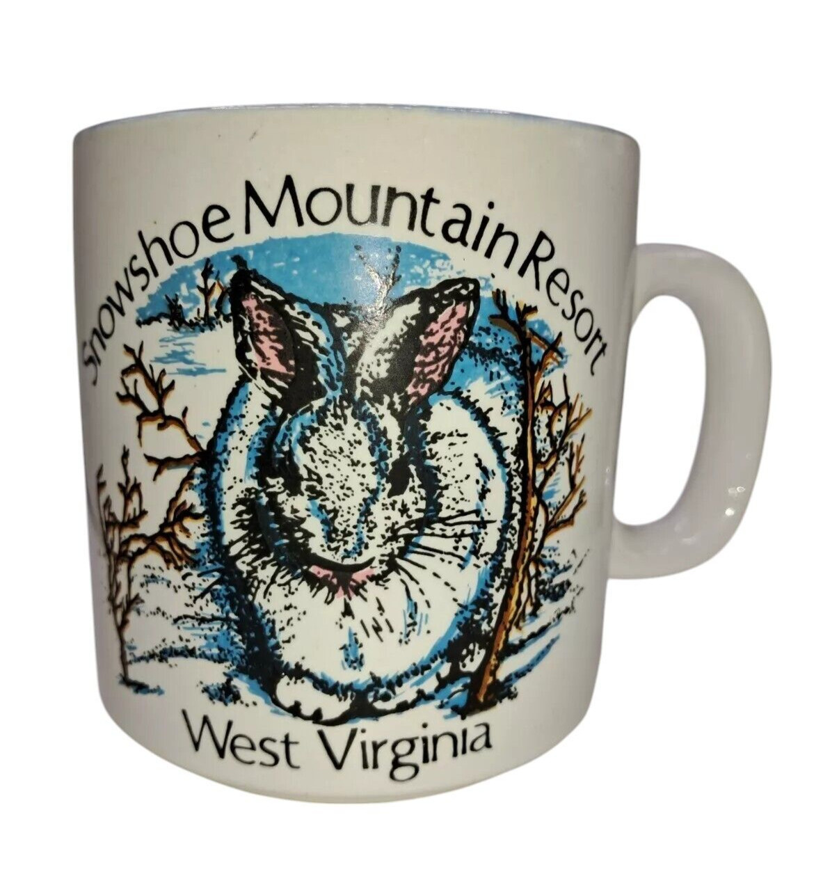Vintage Snowshoe Mountain Resort West Virginia Ski Souvenir Bio Coffee Mug Cup