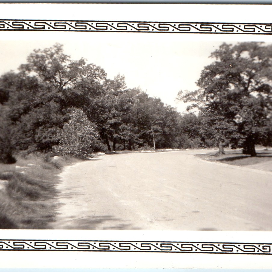 1940 Platt National Park Sulphur OK Road Forest Trees Vintage Snapshot Photo