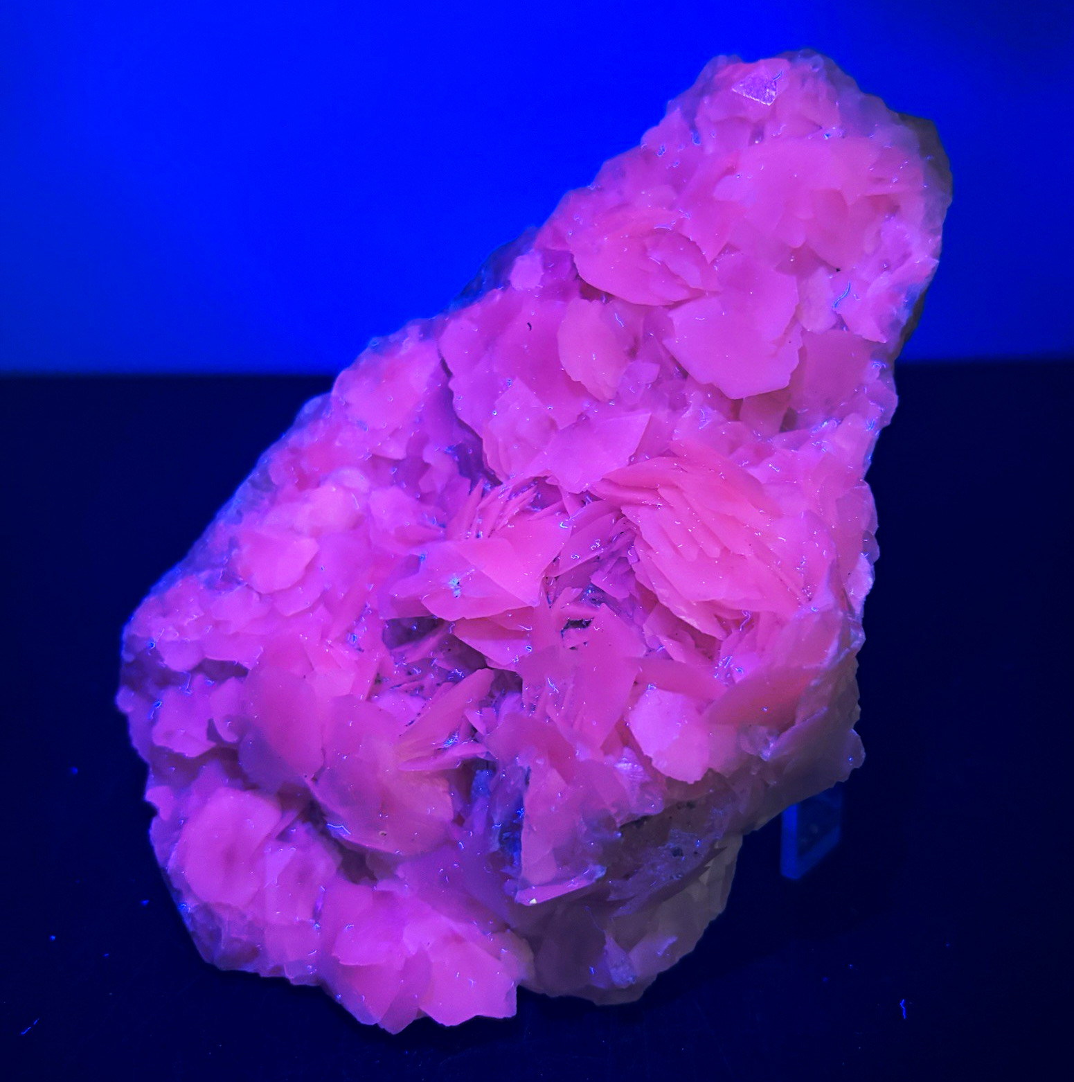 Bladed Manganoan Calcite Crystal Cluster Flower Mineral Specimen Pink UV 400g
