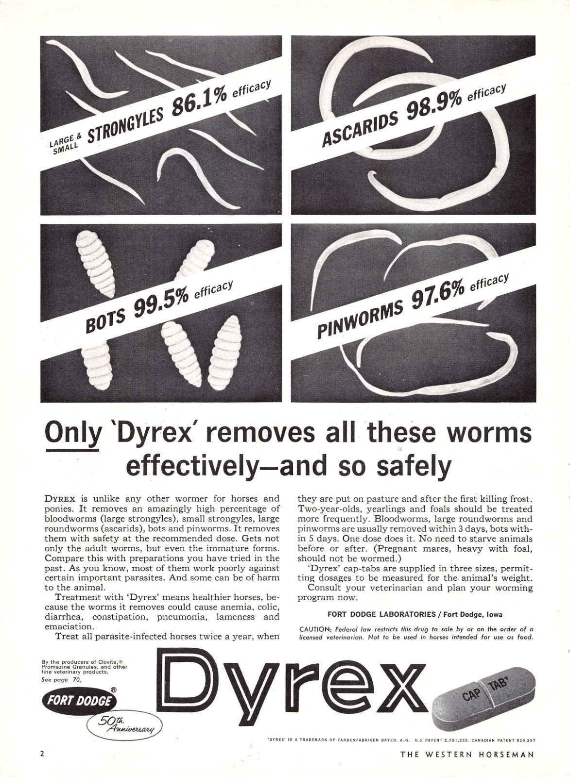 Dyrex by Fort Dodge Removes Worms Effectively and Safely Vtg Magazine Print Ad