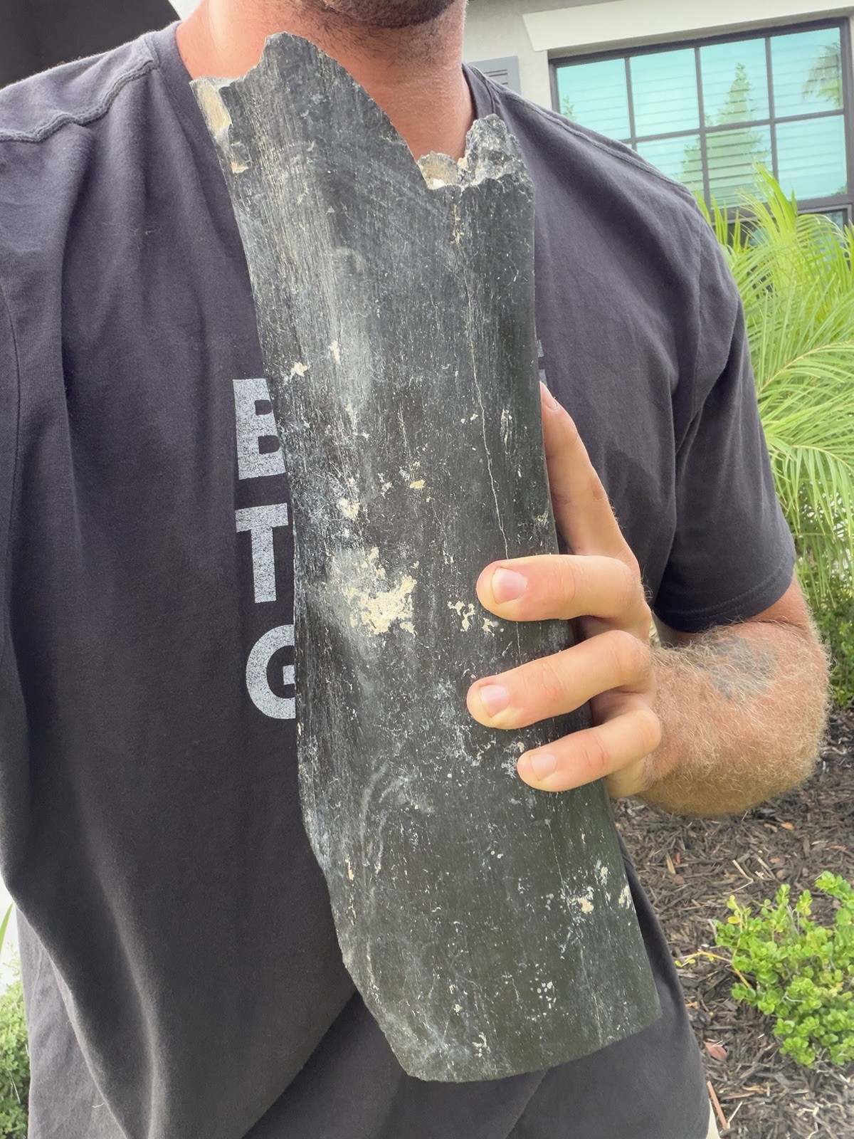 HUGE MASTADON LEG BONE FOSSIL OR OTHER MEGAFAUNA ICE AGE MAMMAL BONE