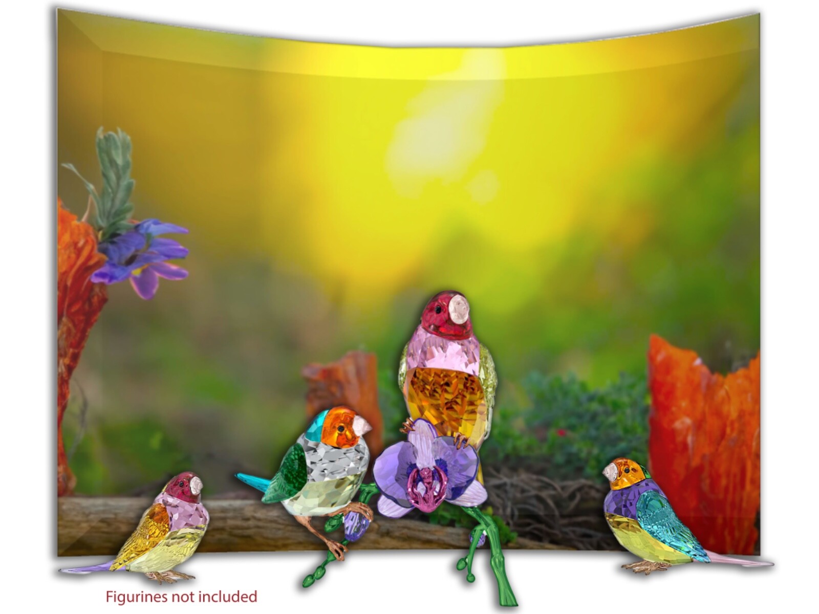 Swarovski SCS Idyllia Gouldian Finch bird Crystal Display Read Description