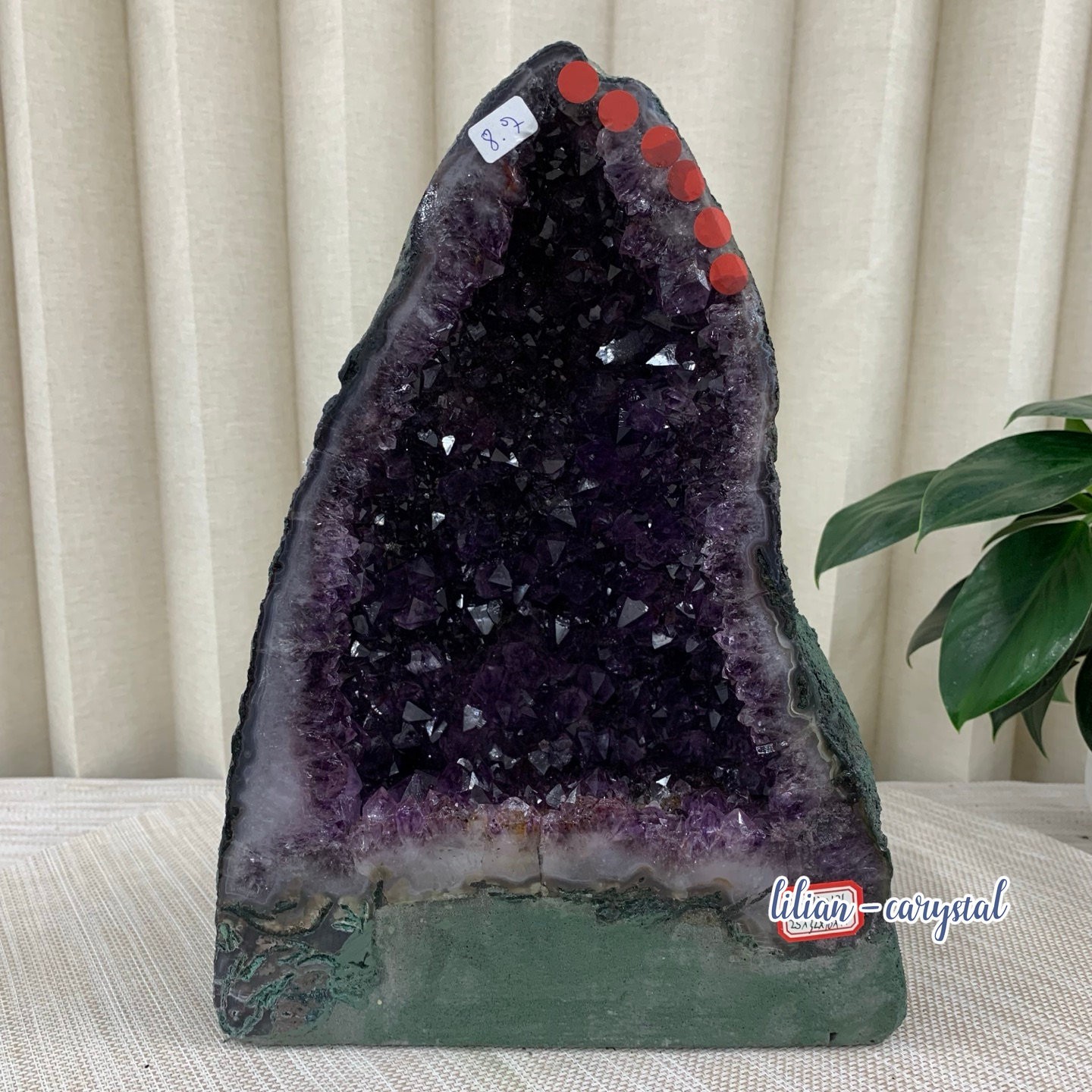19.1LB Natural Amethyst Cathedral English Cluster Crystal Specimen Healing