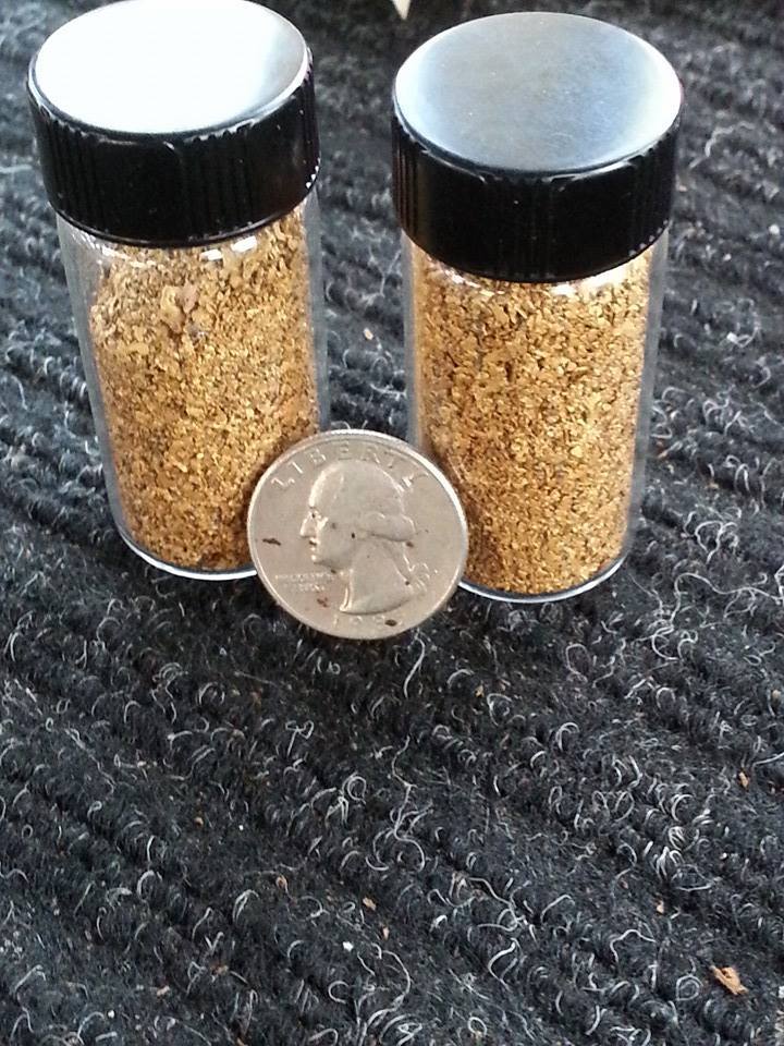 RICH Gold Paydirt - Unsearched and Guaranteed Added Gold Panning Nuggets Flakes