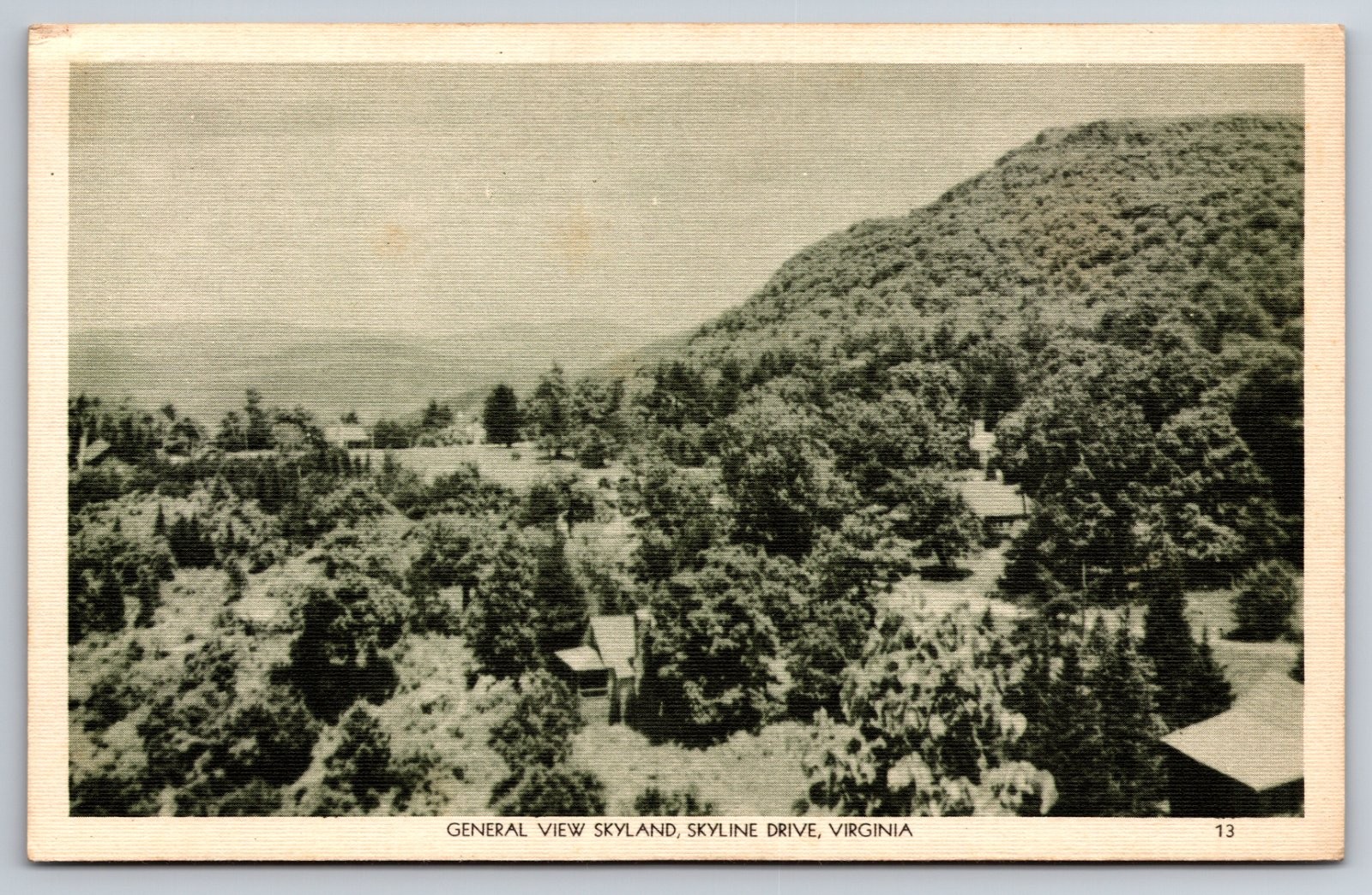 Skyland Skyline Drive Virginia General View Everett Waddey Co. Postcard
