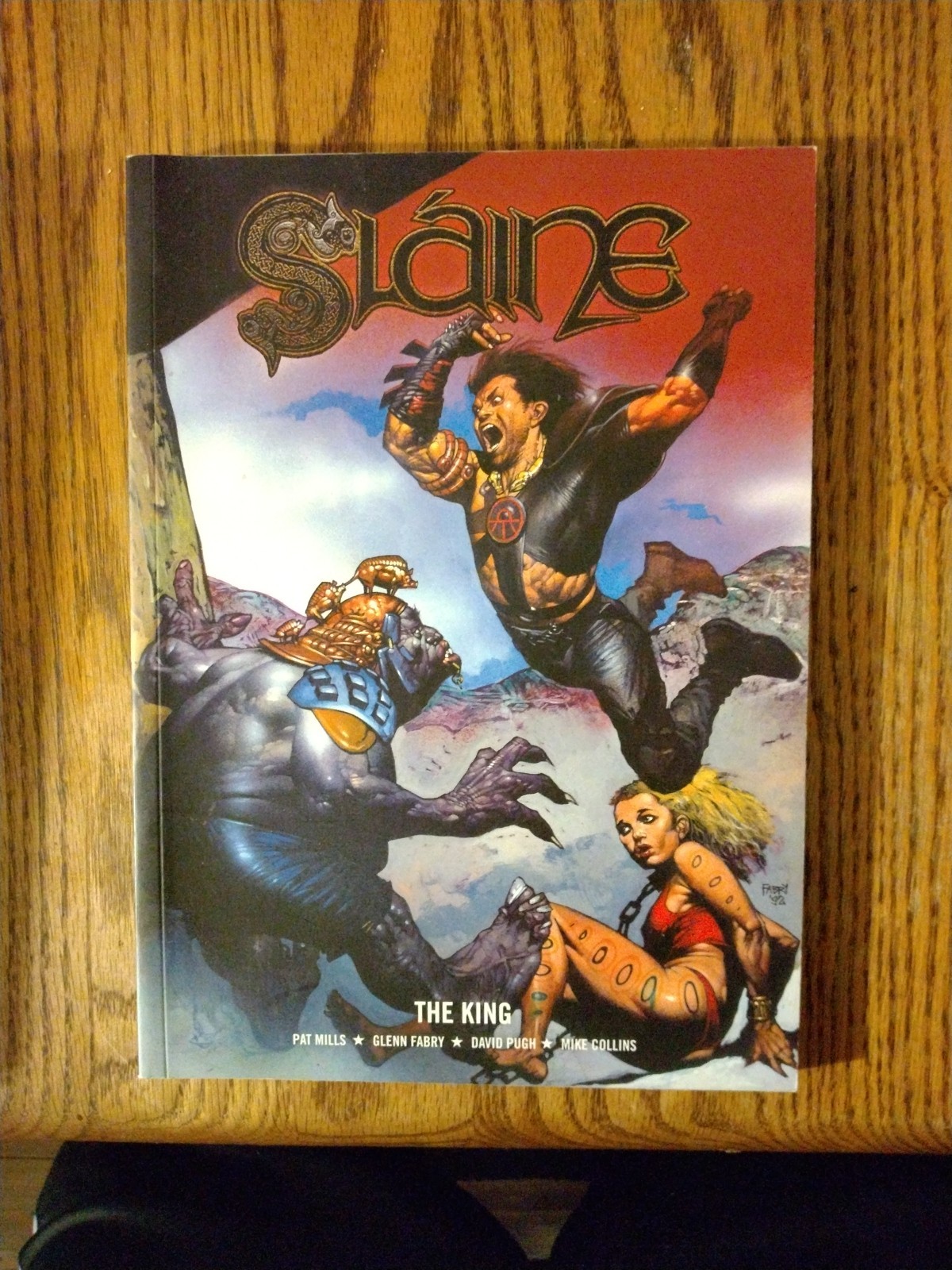 Slaine The King By Pat Mills, Glen Fabr, David Pugh And Mike Collins PB