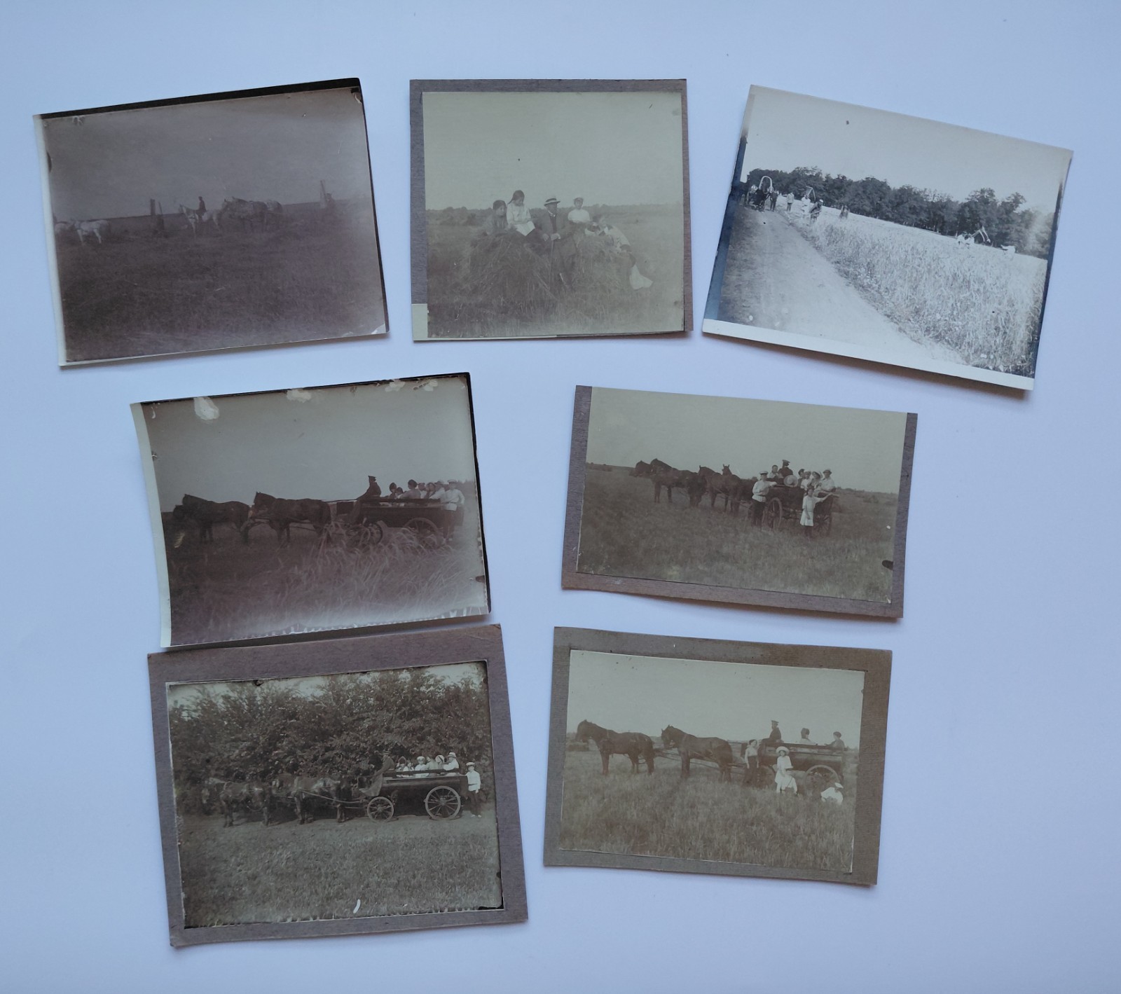 7 Antique Photos Tereshchenko Estate Russia 1906-1912 Horses Farming Family