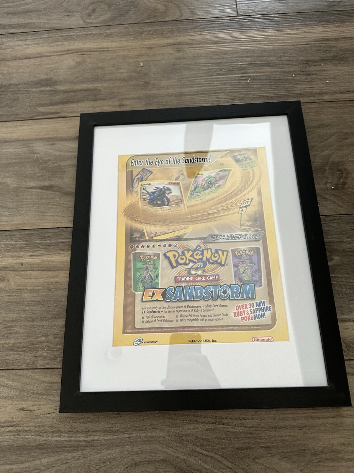 Framed 14 X 11 Nintendo Advertisement Ad Pokémon EX Sandstorm E Series Display