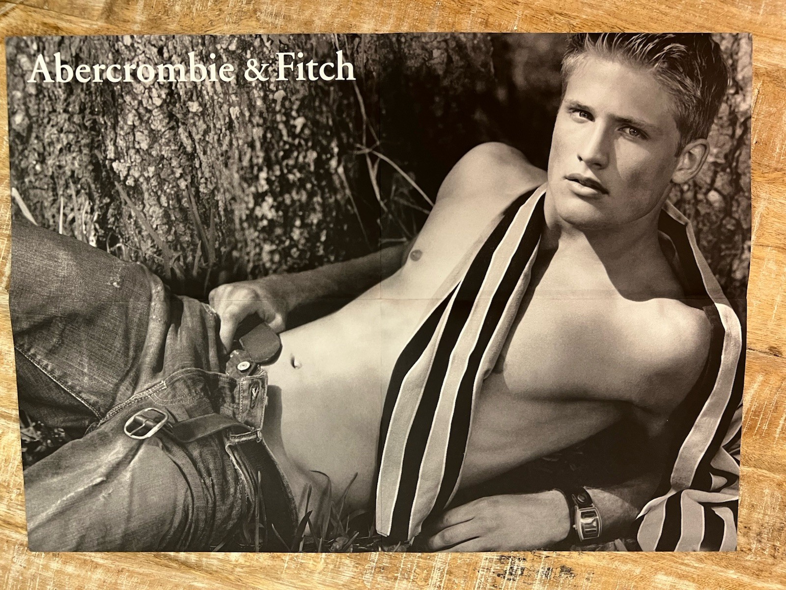 Abercrombie & Fitch Vintage Fold-Out Poster 21” x 15” Proof Ad Campaign Male y2k