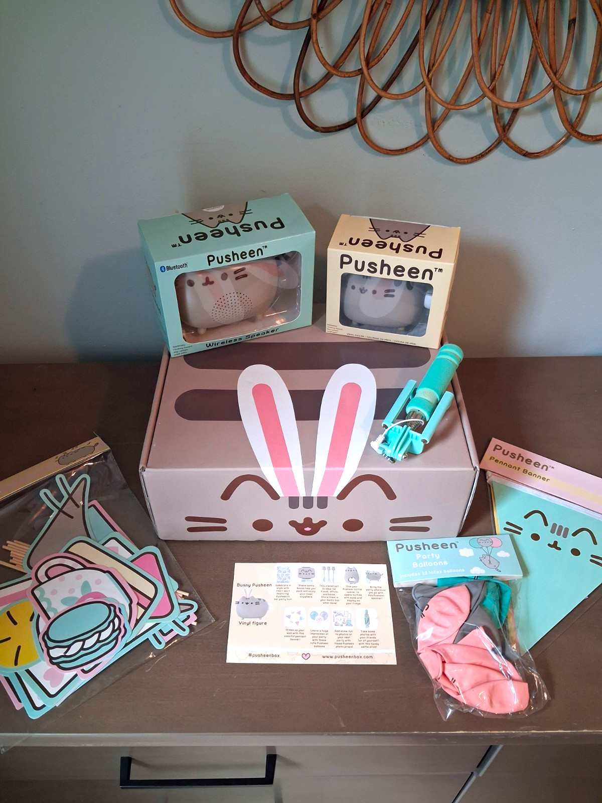 Spring 2017 Pusheen Box and Items