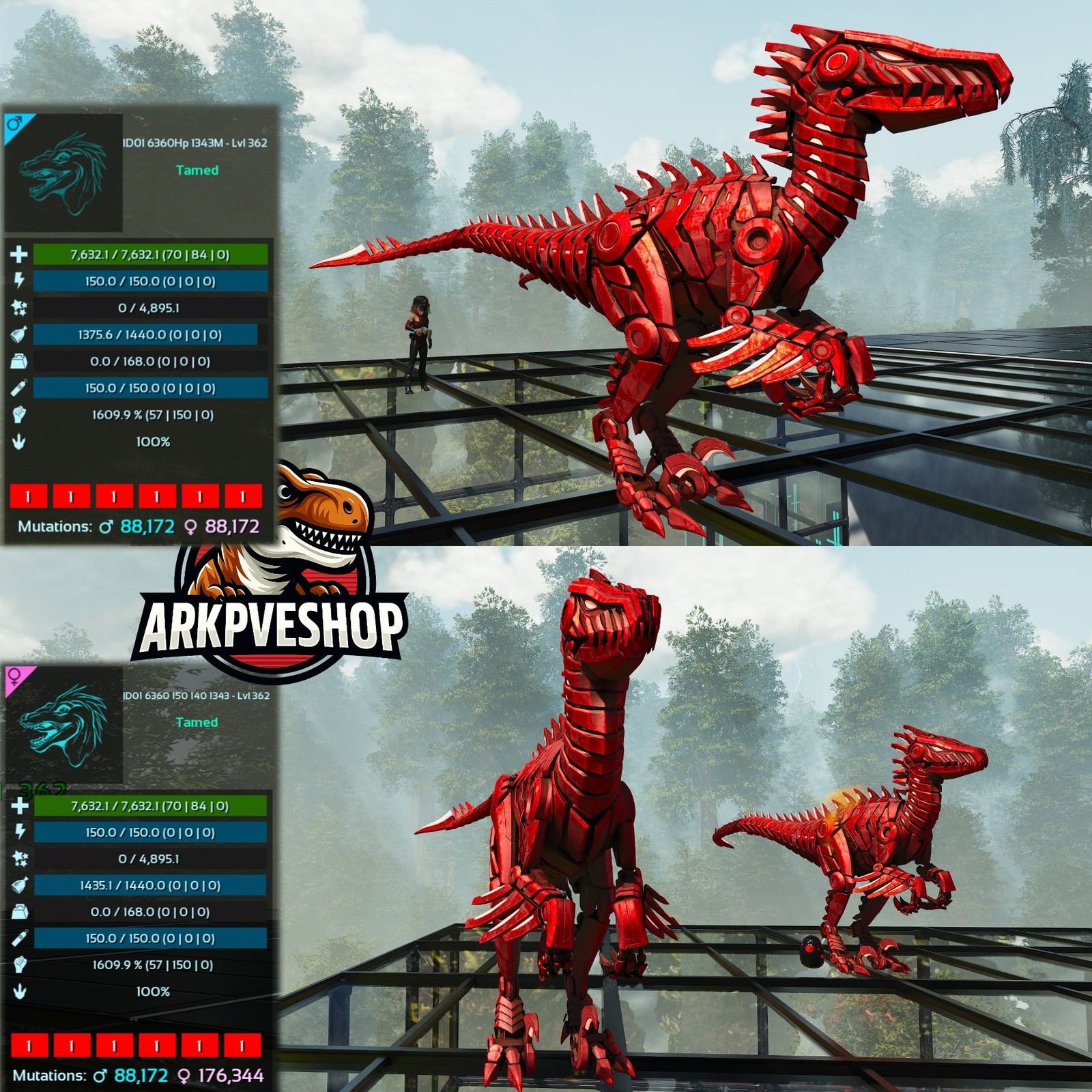 Tek Raptor 7632Hp 1609Melee ASA PVE 🦖ARK Survival Ascended