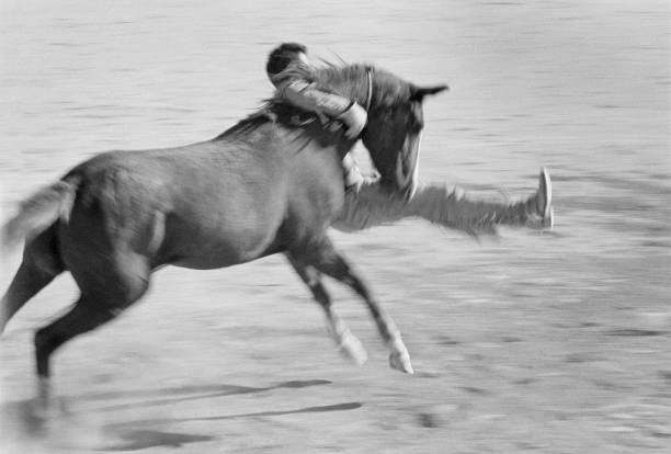 Horse wrangler set of John Huston?s The Misfits location filming N- Old Photo