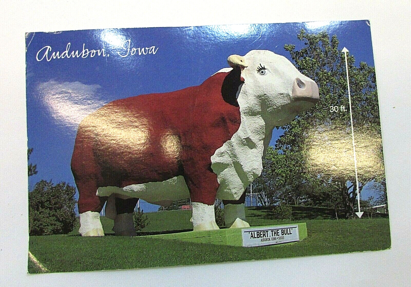 Vintage 1980\'s Audubon IA  Albert The Bull Unused Lawson Mardon Postcard