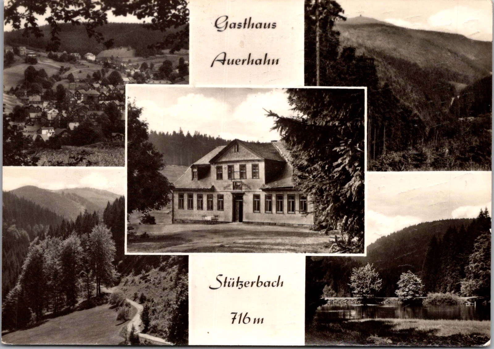 Gasthaus Auerhahn Stützerbach Germany Mountain Views Real Photo RPPC Postcard